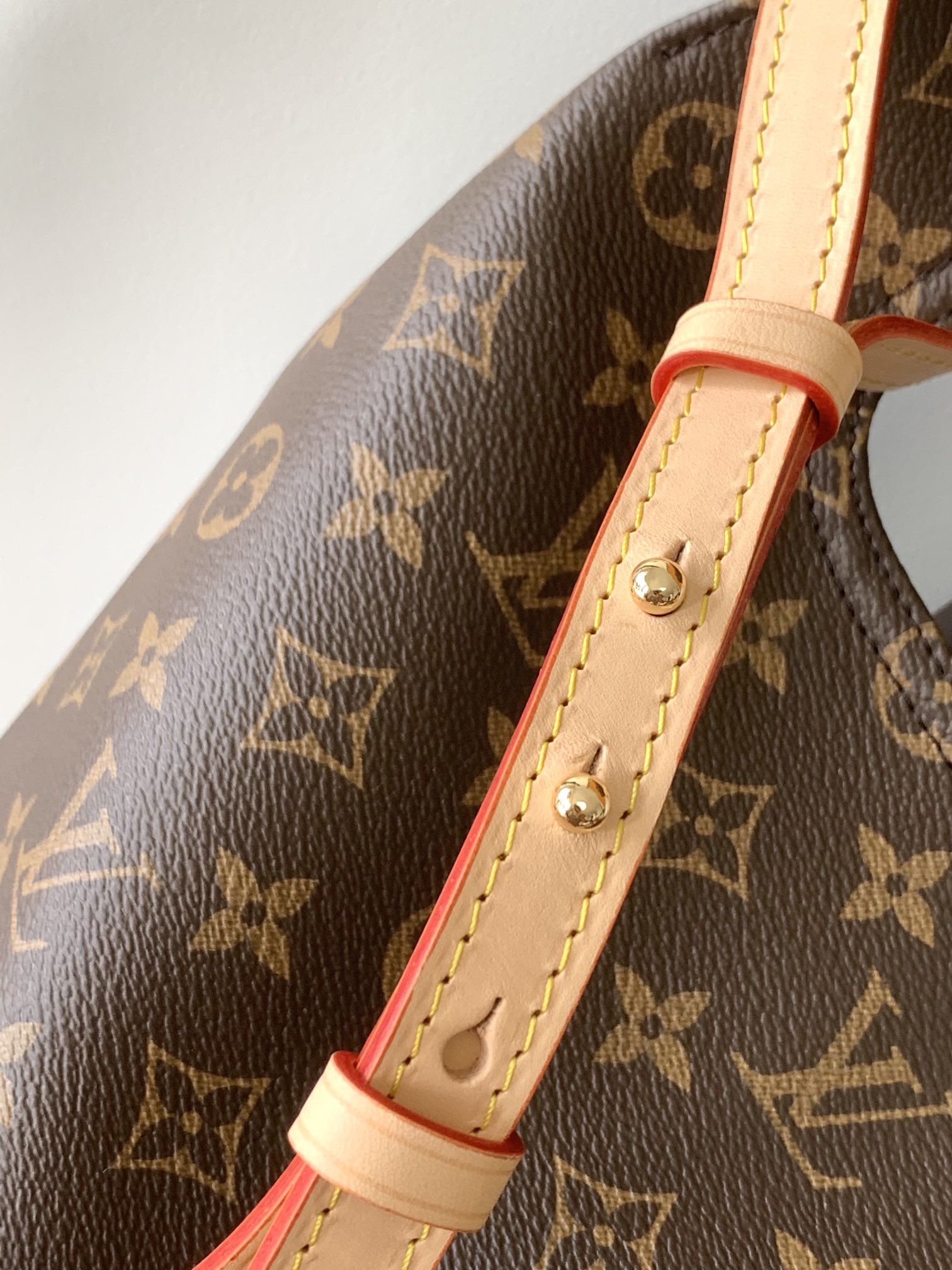 Louis Vuitton Shopping Bags